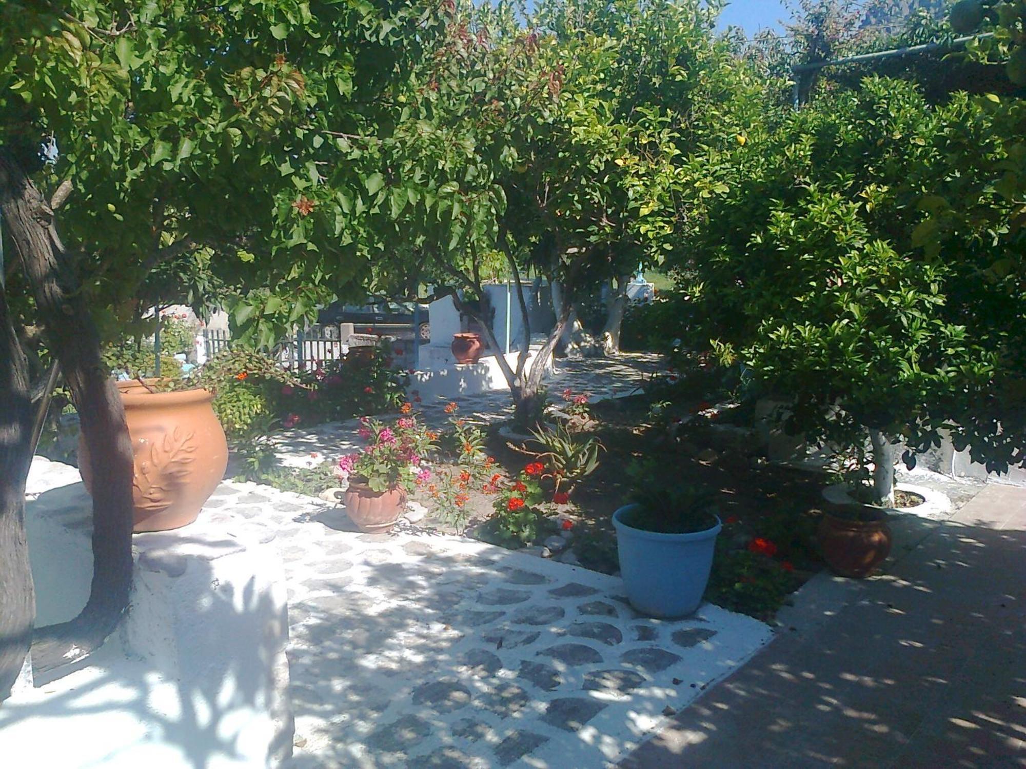 Dionysia Studios Kefalos  Exterior photo
