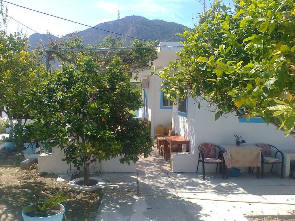Dionysia Studios Kefalos  Exterior photo