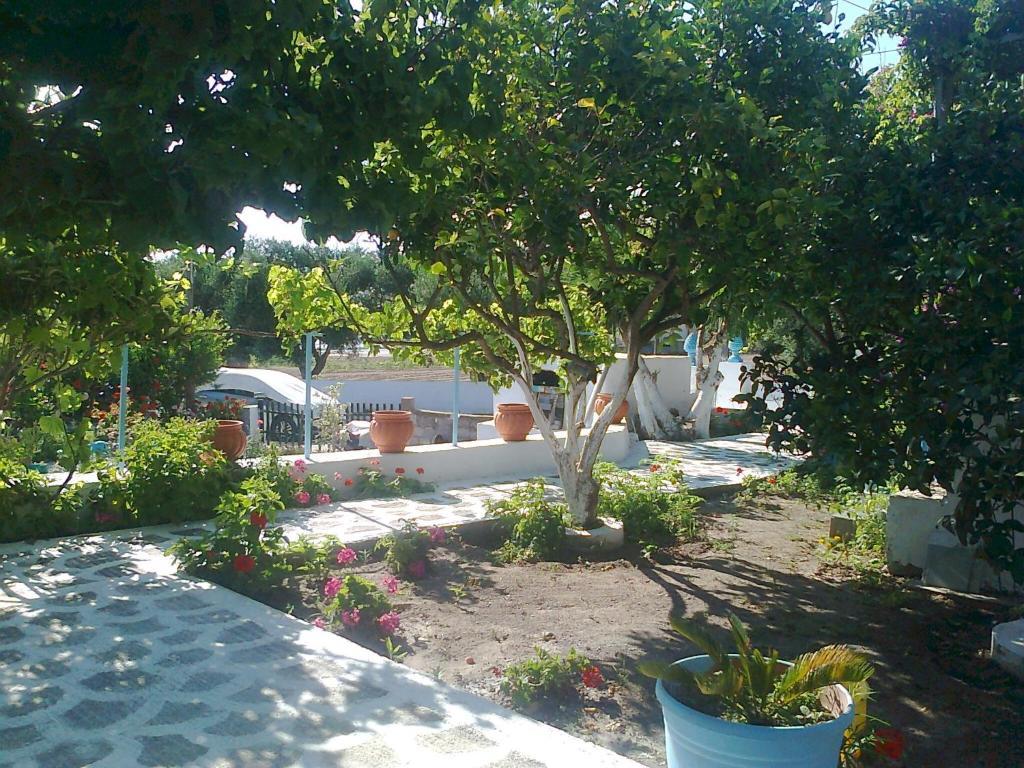 Dionysia Studios Kefalos  Exterior photo